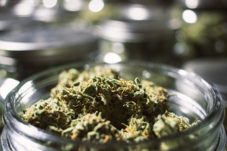 Impacto sócio econômico da regulamentação da cannabis medicinal no Brasil