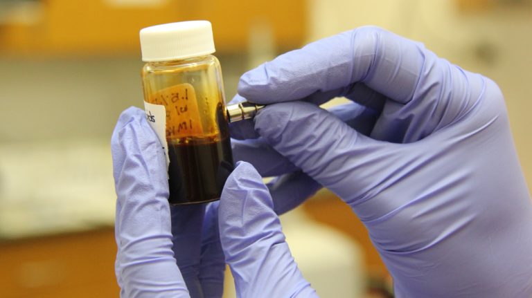 Uma erva no laboratório: Evidências experimentais para o uso medicinal da maconha