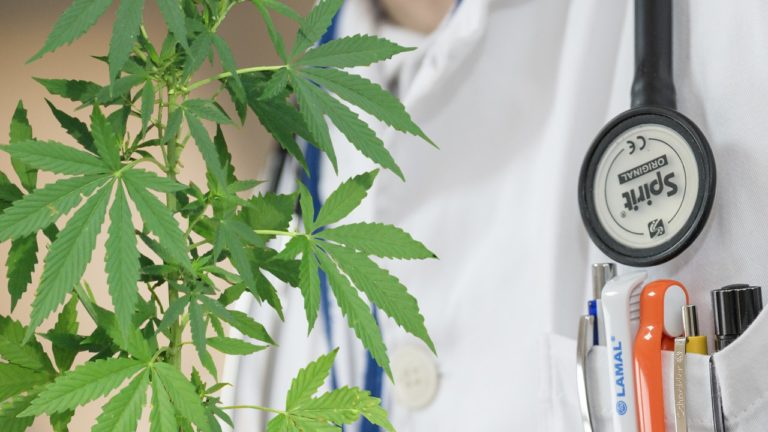 AMA+ME apoia Plataforma de Educação para médicos em medicina canabinoide