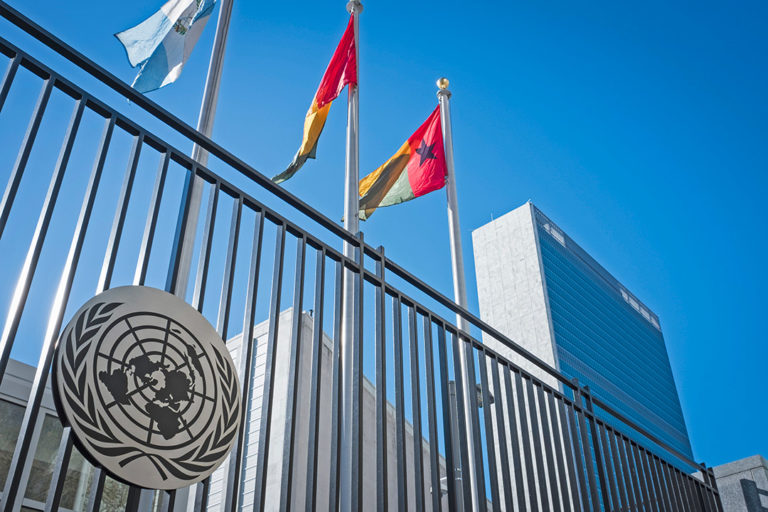 OMS propõe mudanças na reclassificação da cannabis junto à ONU