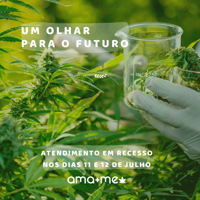 Cannabis Medicinal, um olhar para o Futuro